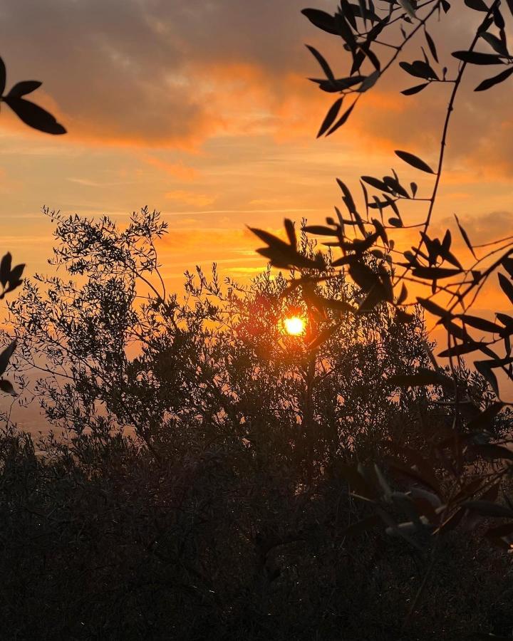 Poggio Alla Pieve Relais Calenzano Exteriér fotografie